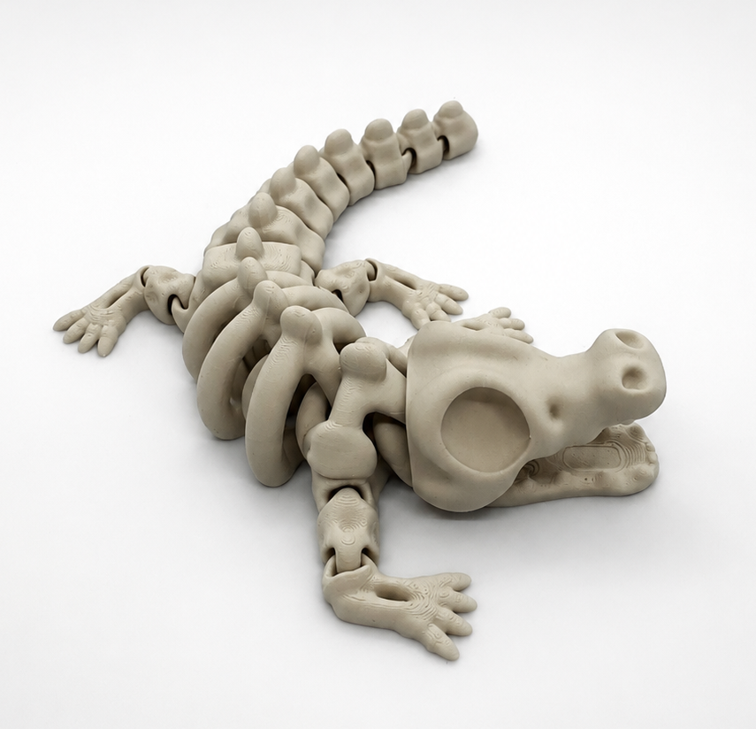 Articulated Bone Crocodile